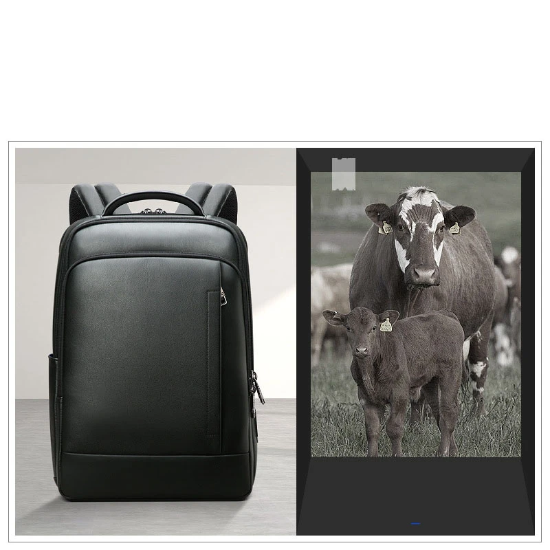 Backpack Leather Backpack Men's Business Trip First Layer Leather Backpack Computer Bag