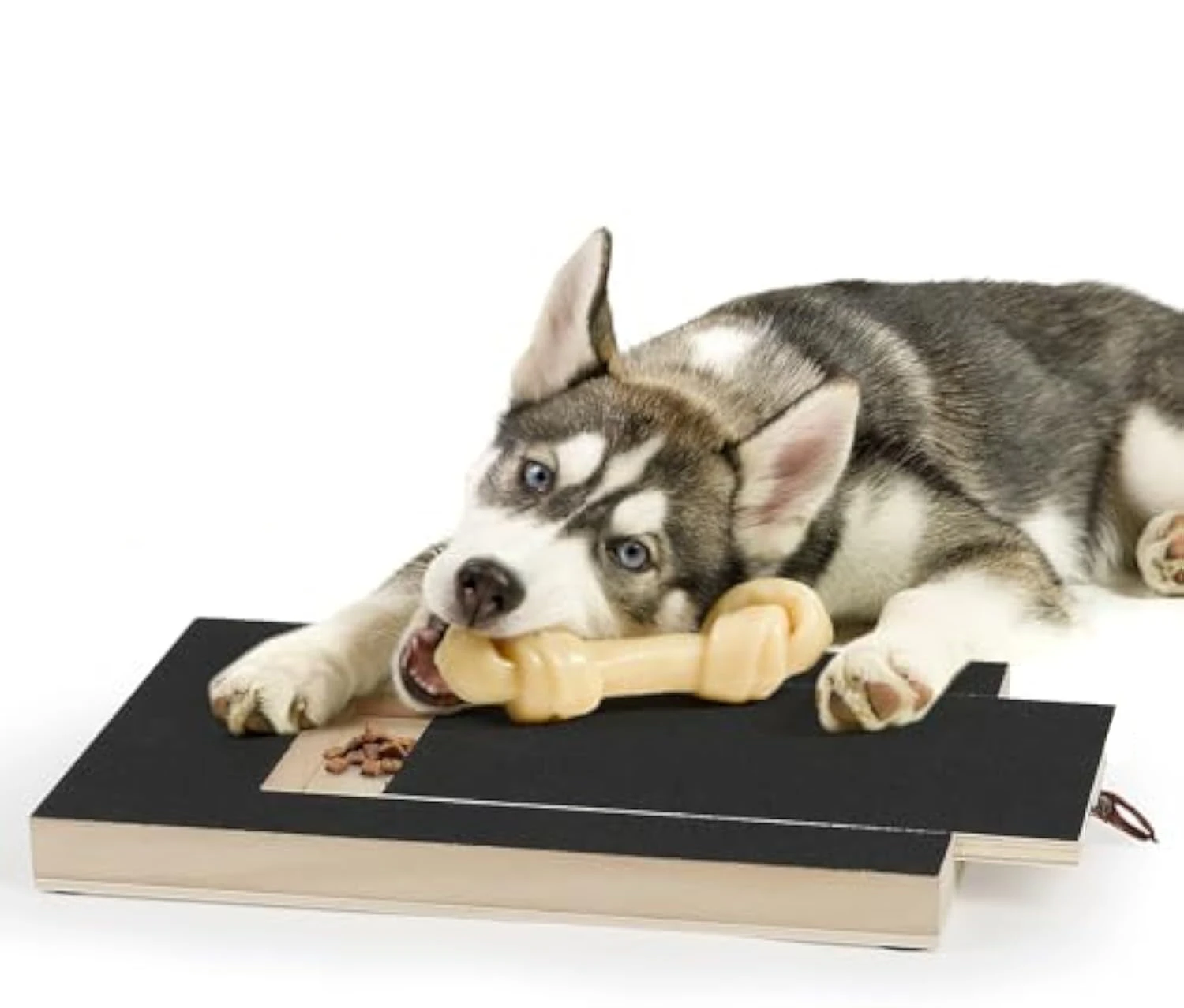 Dog Nail Scratch Board, Dog File Board Dog Nail Grinder Board Scratch Pad For Nails With Treat Box Pets Nails Trimming For All Dog Sizes